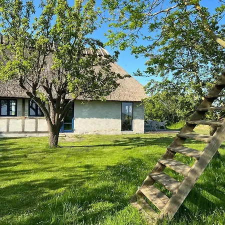 Tatil Evi Idyll And Open Spaces On Skaro In The Archipelago